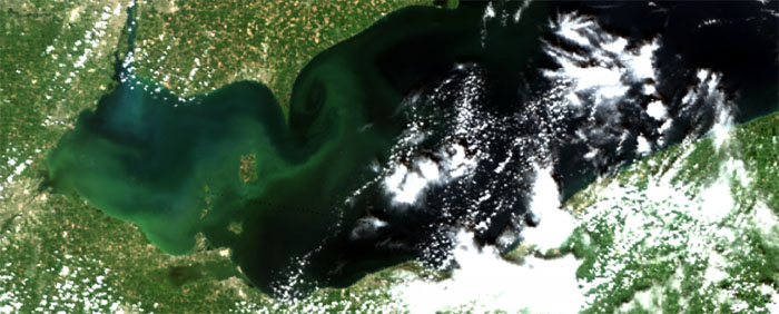 Blue-green algae - Lake Erie