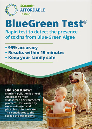 Bluegreen Rapid Test
