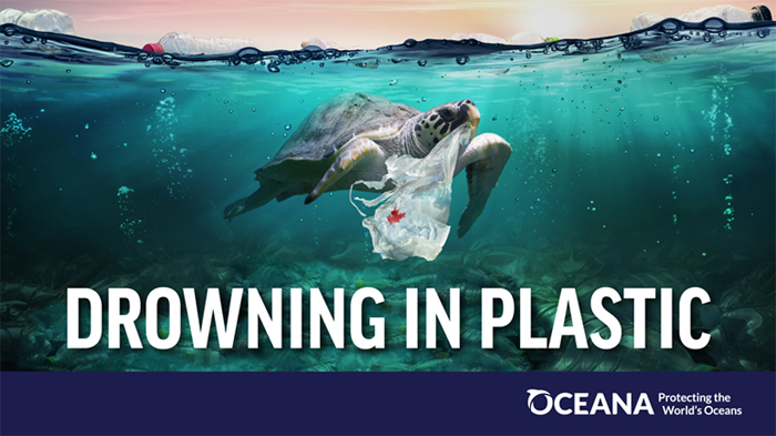 Drowning in Plastic, Oceana poster