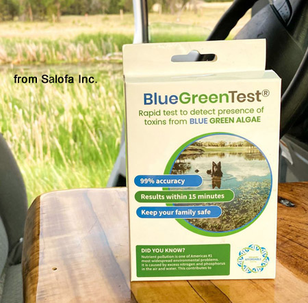 BlueGreen Test